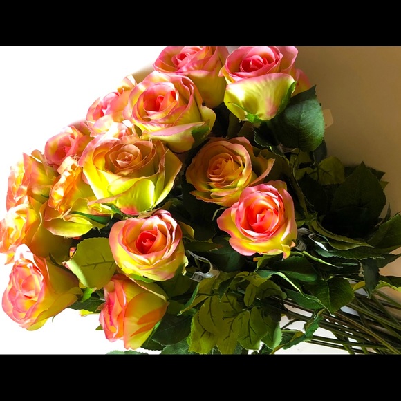 NEW PINK LONG STEM ROSES